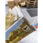 Stone Age társasjáték - sérült dobozos Kihagyhatatlan ajánlat