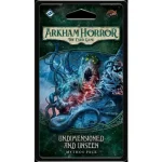 Arkham Horror LCG Undimensioned and Unseen Mythos Pack Vedd meg most