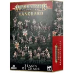Vanguard Beasts of Chaos Kiárusítás