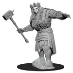 D&D Nolzur‘s Marvelous Miniatures Fire Giant Ne maradj le