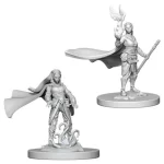 Expressz szállítás D&D Nolzur‘s Marvelous Miniatures Elf Druid Female