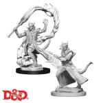 D&D Nolzur‘s Marvelous Miniatures Tiefling Sorcerer Male Vedd meg most