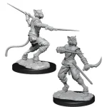 Vedd meg online D&D Nolzur‘s Marvelous Miniatures Tabaxi Rogue Male