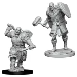 Alacsony ár D&D Nolzur‘s Marvelous Miniatures Goliath Fighter Male