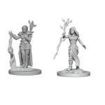 Vásárlói kedvenc D&D Nolzur‘s Marvelous Miniatures Human Druid Female Wave1