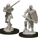 Expressz szállítás D&D Nolzur‘s Marvelous Miniatures Human Fighter Female
