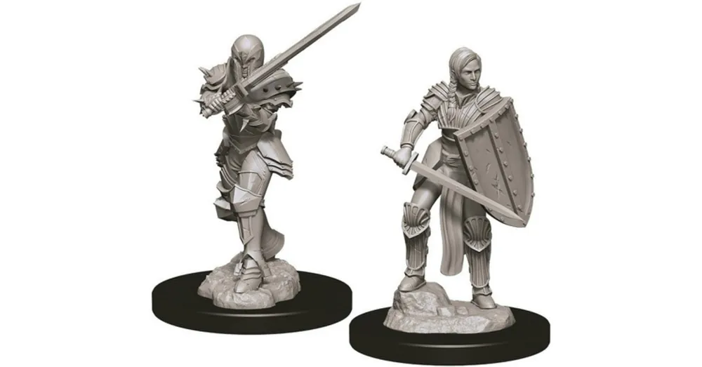 Expressz szállítás D&D Nolzur‘s Marvelous Miniatures Human Fighter Female