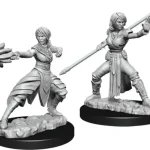 Szuper akció D&D Nolzur‘s Marvelous Miniatures Half-elf Monk Female