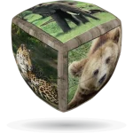 V-Cube 2x2 versenykocka, lekerekített, Vadállatok Újdonság