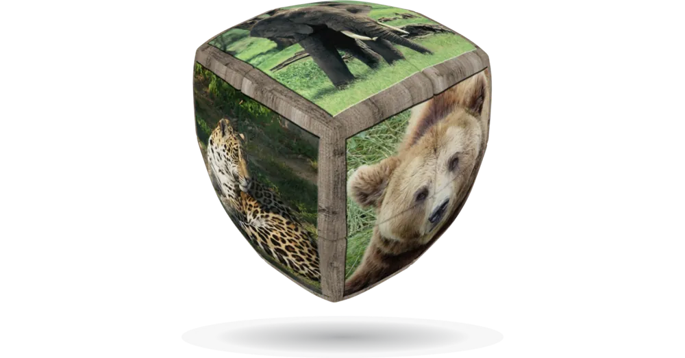 V-Cube 2x2 versenykocka, lekerekített, Vadállatok Újdonság