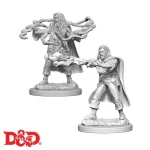 Népszerű D&D Nolzur‘s Marvelous Miniatures Human Sorcerer Male