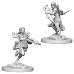 Újdonság D&D Nolzur‘s Marvelous Miniatures Air Genasi Rogue Female
