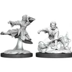 D&D Nolzur‘s Marvelous Miniatures Human Monk Female Wave11 Expressz kézbesítés