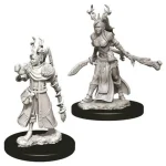 D&D Nolzur‘s Marvelous Miniatures Human Druid Female Wave12 Outlet