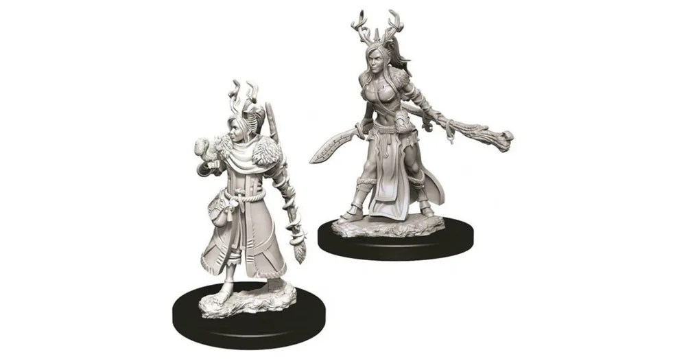 D&D Nolzur‘s Marvelous Miniatures Human Druid Female Wave12 Outlet