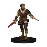 Olcsó D&D Icons Human Male Rogue Premium Prepainted Miniature