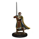 Kihagyhatatlan ajánlat D&D Icons Human Male Cleric Premium Prepainted Miniature