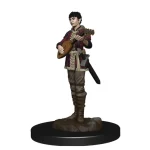 Ajánlat D&D Icons Half-Elf Female Bard Premium Prepainted Miniature