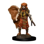 Árengedmény D&D Icons Human Male Druid Premium Prepainted Miniature