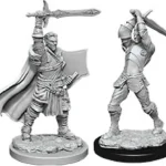Olcsóbb D&D Nolzur‘s Marvelous Miniatures Human Paladin Male Wave 12