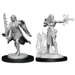 D&D Nolzur‘s Marvelous Miniatures Multiclass Warlock/Sorcerer Korlátozott ajánlat