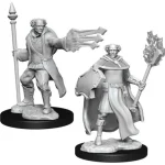 D&D Nolzur‘s Marvelous Miniatures Multiclass Cleric/Wizard Legnépszerűbb