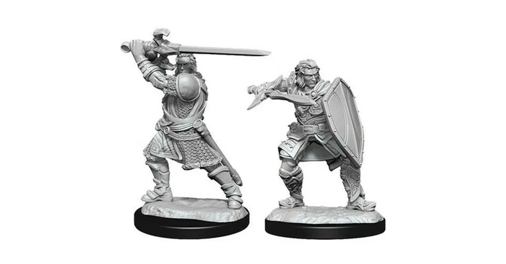 D&D Nolzur‘s Marvelous Miniatures Human Paladin Male Wave 14 Biztonságos fizetés