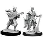 Expressz szállítás D&D Nolzur‘s Marvelous Miniatures Tiefling Bard Female Wave 14