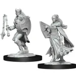 D&D Nolzur‘s Marvelous Miniatures Kalashtar Cleric Female Wave 14 Árcsökkenés