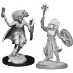 D&D Nolzur‘s Marvelous Miniatures Changeling Cleric Male Wave 14 Árengedmény