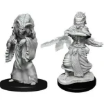 Különleges ajánlat D&D Nolzur‘s Marvelous Miniatures Night Hag & Dusk Hag