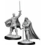 Rendeld meg most D&D Nolzur‘s Marvelous Miniatures Human Paladin Male Wave 13