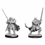 D&D Nolzur‘s Marvelous Miniatures Half-Orc Paladin Male Wave 15 Biztonságos fizetés