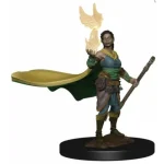D&D Icons Elf Druid Female Premium Prepainted Utolsó esély