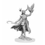 D&D Frameworks Female Human Druid (W1) Legkelendőbb