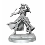 Biztonságos vásárlás D&D Frameworks Female Tiefling Rogue (W1)