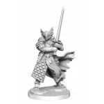 D&D Frameworks Male Dragonborn Paladin (W1) Azonnal elérhető