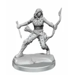 D&D Frameworks Female Human Rogue (W1) Különleges ajánlat