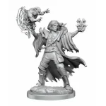 Biztonságos fizetés D&D Frameworks Male Human Warlock (W1)