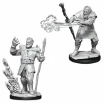 Népszerű D&D Nolzur‘s Marvelous Miniatures Firbolg Druid Male Wave 11