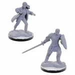 Expressz szállítás D&D Nolzur‘s Marvelous Miniatures Reborn Paladin & Reborn Warlock