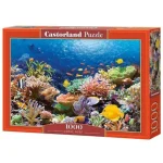 Korallzátony halak - 1000 darabos Puzzle Castorland Ne maradj le
