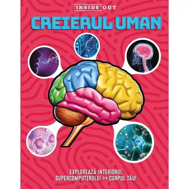 Játszma - Társasjáték webáruház és szaküzlet Szuper ajánlat