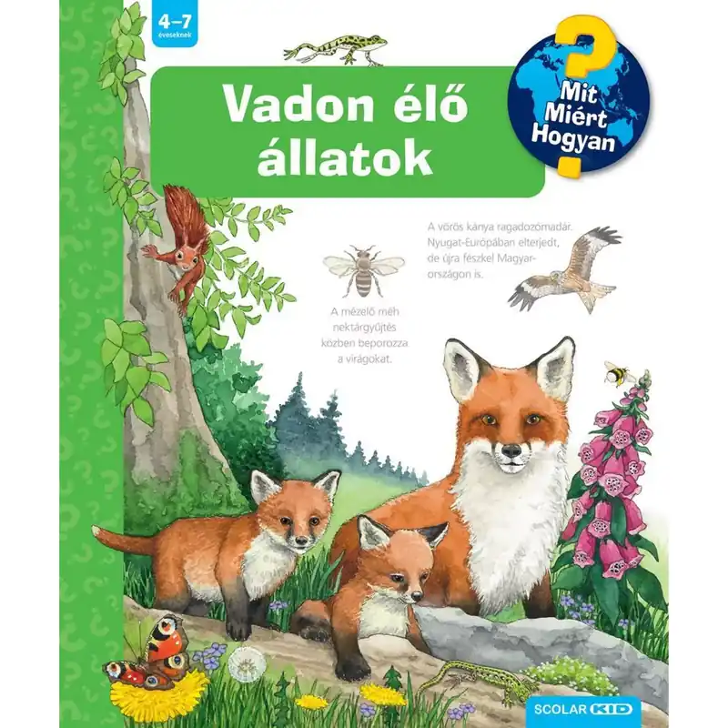 Játszma - Társasjáték webáruház és szaküzlet Akció