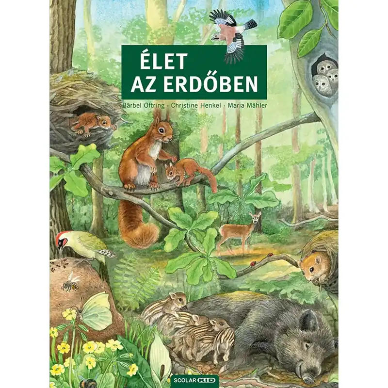 Játszma - Társasjáték webáruház és szaküzlet Legjobb ár