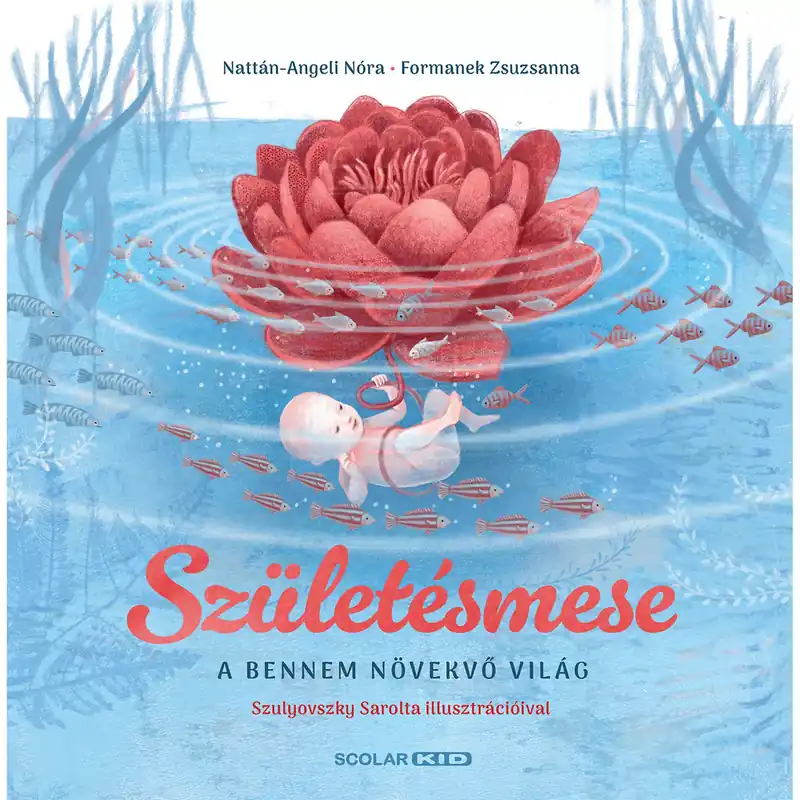 Játszma - Társasjáték webáruház és szaküzlet Kiárusítás