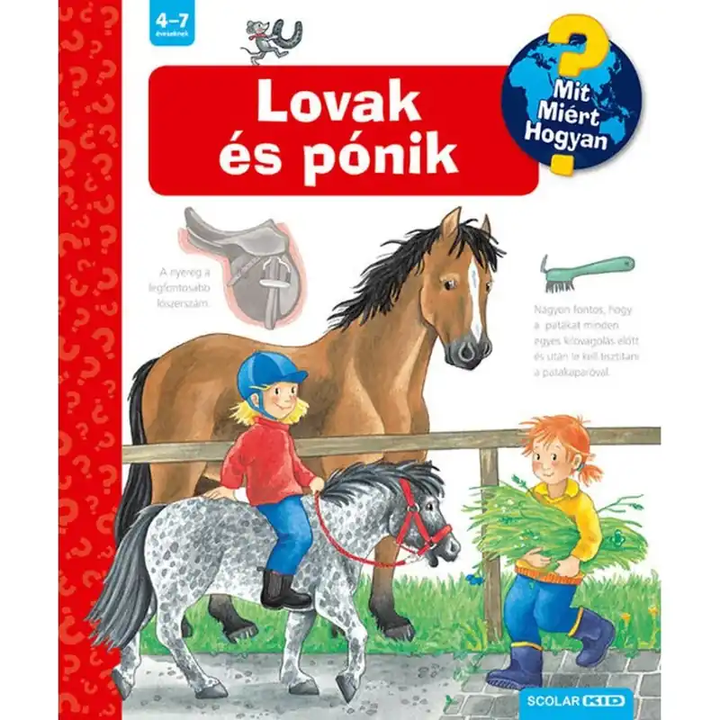 Expressz szállítás Játszma - Társasjáték webáruház és szaküzlet