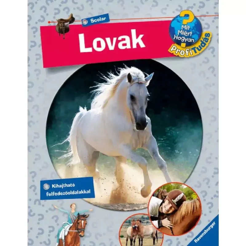 Szezonális akció Játszma - Társasjáték webáruház és szaküzlet
