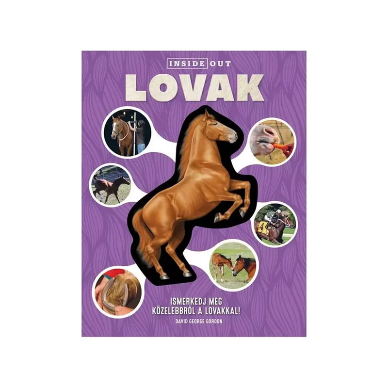 Vedd meg most Játszma - Társasjáték webáruház és szaküzlet