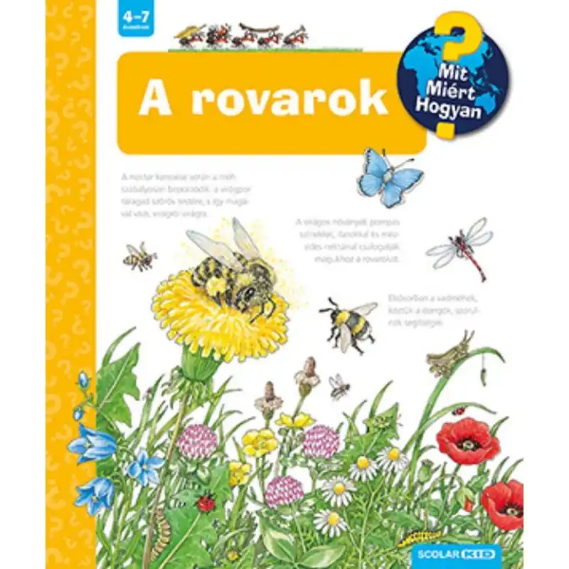 Gyors szállítás Játszma - Társasjáték webáruház és szaküzlet